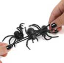 araña-estirable.jpg