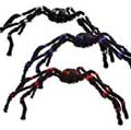 araña-gigante-peluda.jpg