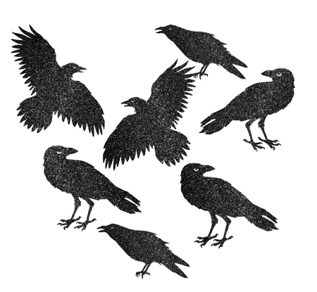 cuervos-negros-purpurina-ampl.jpg