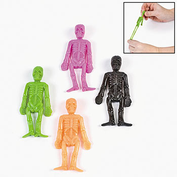 esqueleto-color-AMPL.jpg