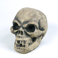 calavera-nueva.jpg