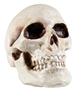 calavera-sangre-AMPL2.jpg