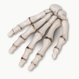 mano-esqueleto-AMPL.jpg