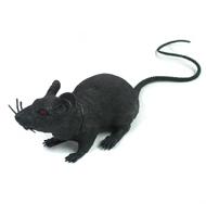 rata negra.jpg