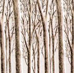 fondo-pared-bosque-encantado.jpg