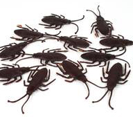 cucarachas.jpg