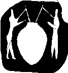 la historia del botellón